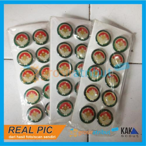 Pin Dharmawanita Fiber